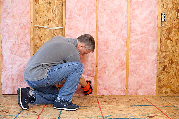 Professional Insulation Contractor in Bartlett, TX