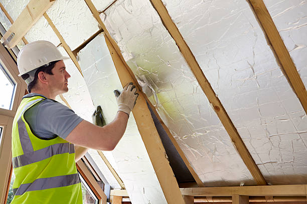 Best Eco-Friendly Insulation in Bartlett, TX