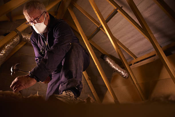 Best DIY Insulation Kits and Guidance in Bartlett, TX